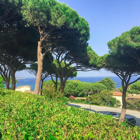 Le Jardin Des Pins Sainte-Maxime