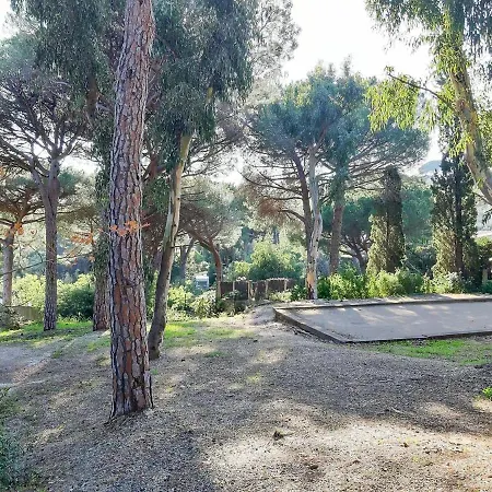 Le Jardin Des Pins