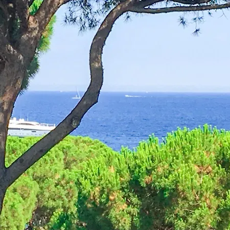 Le Jardin Des Pins Apartamento *