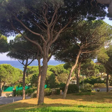 Le Jardin Des Pins * Sainte-Maxime